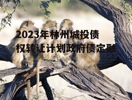 2023年林州城投债权转让计划政府债定融