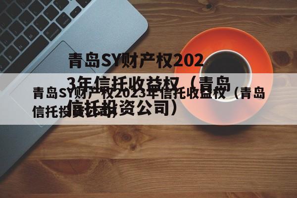 青岛SY财产权2023年信托收益权（青岛信托投资公司）