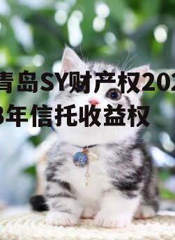 青岛SY财产权2023年信托收益权