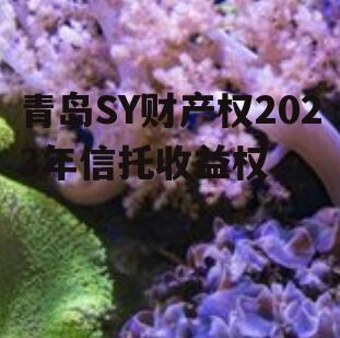 青岛SY财产权2023年信托收益权