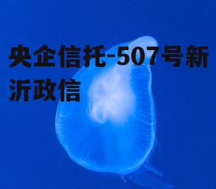 央企信托-507号新沂政信