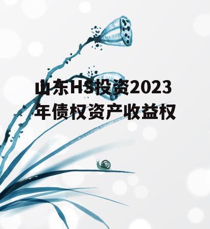 山东HS投资2023年债权资产收益权