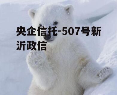 央企信托-507号新沂政信