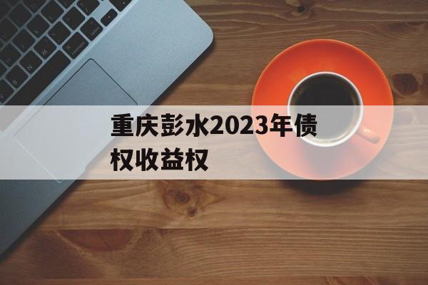 重庆彭水2023年债权收益权