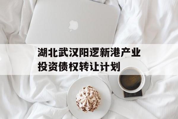 湖北武汉阳逻新港产业投资债权转让计划