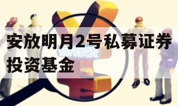 安放明月2号私募证券投资基金