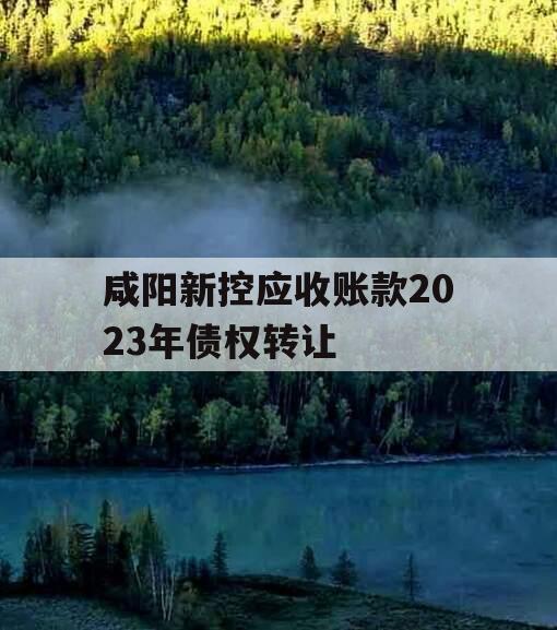 咸阳新控应收账款2023年债权转让