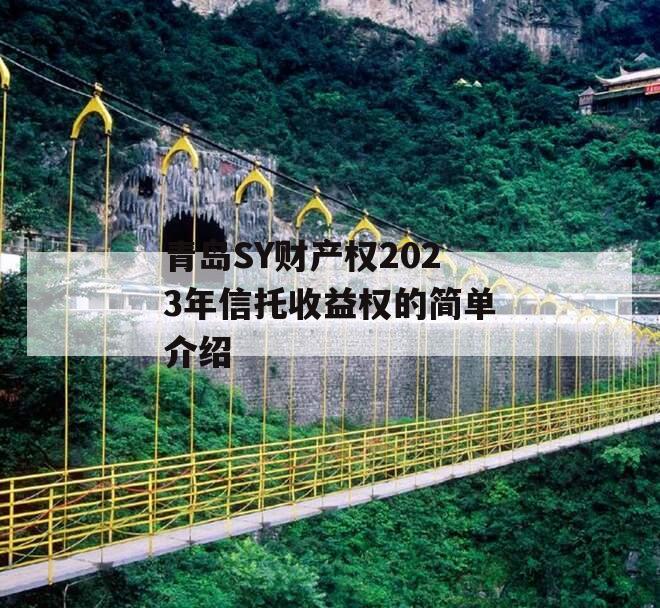 青岛SY财产权2023年信托收益权的简单介绍