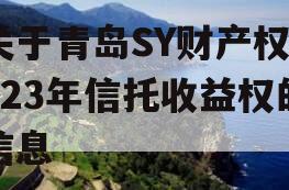 关于青岛SY财产权2023年信托收益权的信息