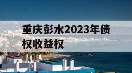 重庆彭水2023年债权收益权