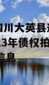 关于四川大英县通源实业2023年债权拍卖02的信息