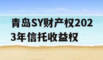 青岛SY财产权2023年信托收益权