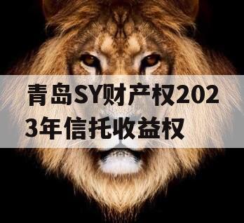 青岛SY财产权2023年信托收益权