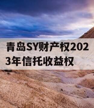 青岛SY财产权2023年信托收益权