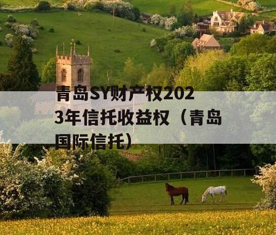 青岛SY财产权2023年信托收益权（青岛国际信托）