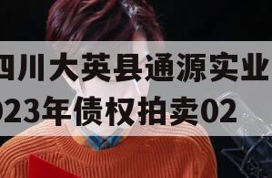 四川大英县通源实业2023年债权拍卖02