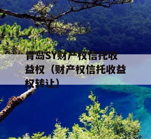 青岛SY财产权信托收益权（财产权信托收益权转让）