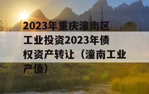 2023年重庆潼南区工业投资2023年债权资产转让（潼南工业产值）