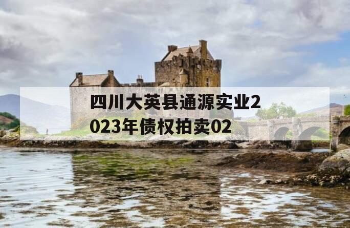 四川大英县通源实业2023年债权拍卖02