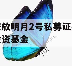 安放明月2号私募证券投资基金