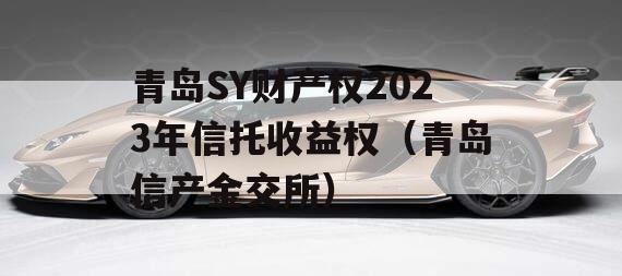 青岛SY财产权2023年信托收益权（青岛信产金交所）