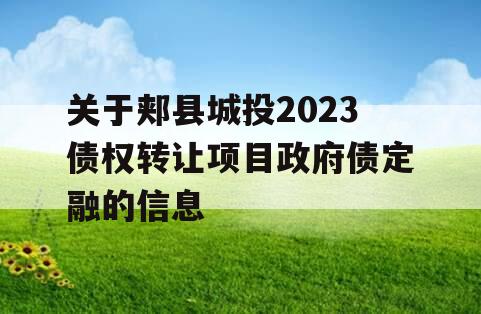 关于郏县城投2023债权转让项目政府债定融的信息