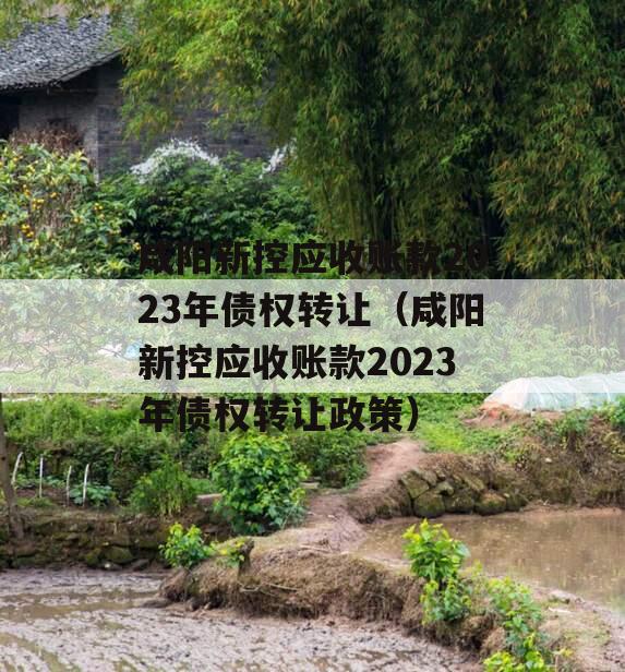 咸阳新控应收账款2023年债权转让（咸阳新控应收账款2023年债权转让政策）