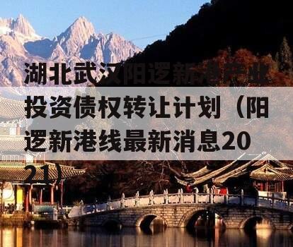 湖北武汉阳逻新港产业投资债权转让计划（阳逻新港线最新消息2021）