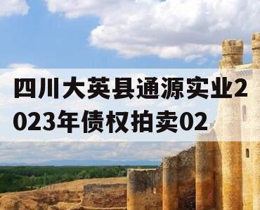 四川大英县通源实业2023年债权拍卖02