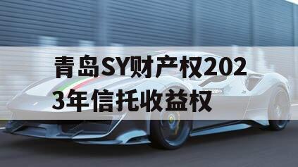 青岛SY财产权2023年信托收益权