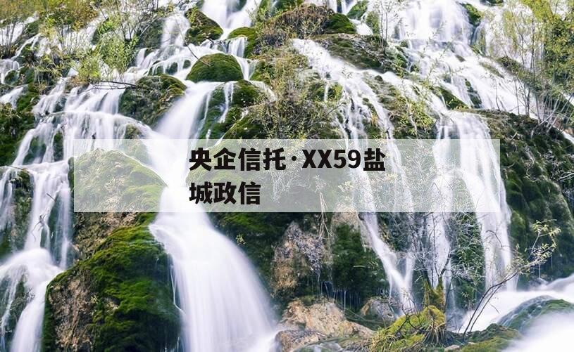 央企信托·XX59盐城政信