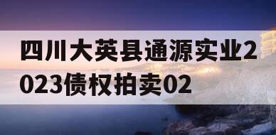 四川大英县通源实业2023债权拍卖02