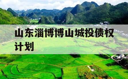 山东淄博博山城投债权计划