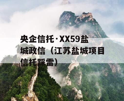 央企信托·XX59盐城政信（江苏盐城项目信托踩雷）