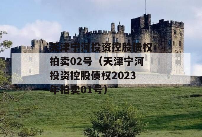 天津宁河投资控股债权拍卖02号（天津宁河投资控股债权2023年拍卖01号）