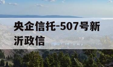 央企信托-507号新沂政信