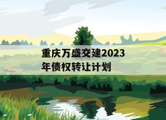 重庆万盛交建2023年债权转让计划