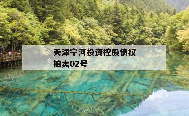 天津宁河投资控股债权拍卖02号