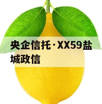 央企信托·XX59盐城政信