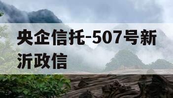 央企信托-507号新沂政信