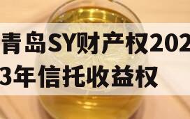 青岛SY财产权2023年信托收益权