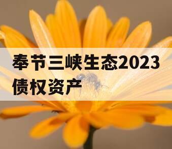 奉节三峡生态2023债权资产