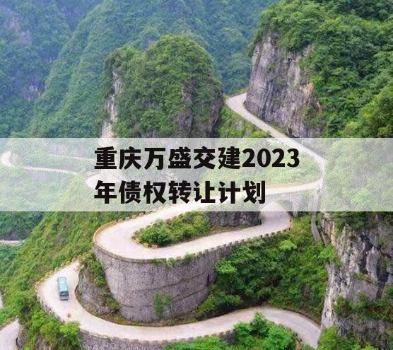 重庆万盛交建2023年债权转让计划