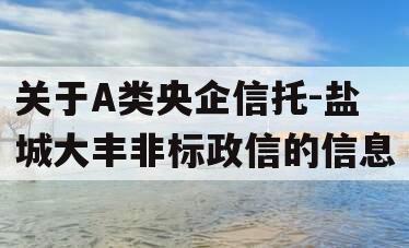 关于A类央企信托-盐城大丰非标政信的信息