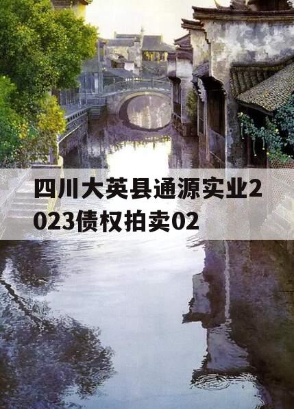 四川大英县通源实业2023债权拍卖02