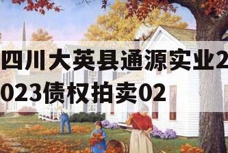 四川大英县通源实业2023债权拍卖02