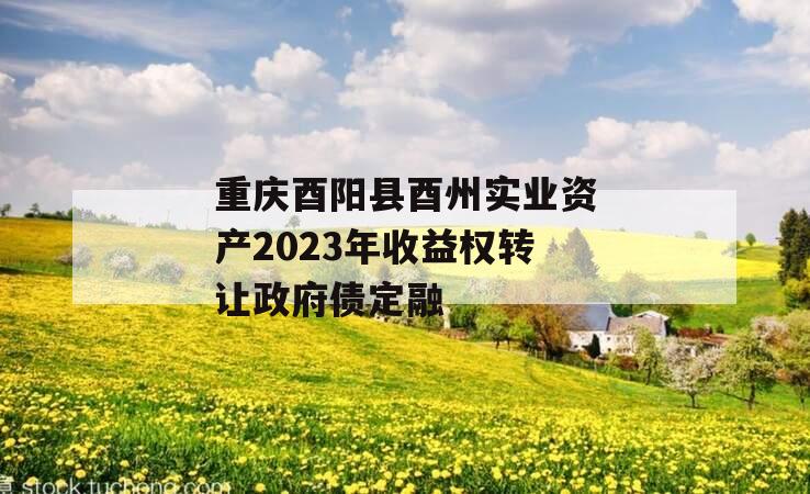 重庆酉阳县酉州实业资产2023年收益权转让政府债定融