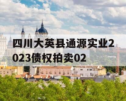 四川大英县通源实业2023债权拍卖02