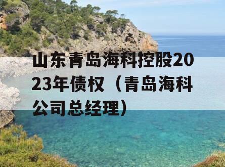 山东青岛海科控股2023年债权（青岛海科公司总经理）