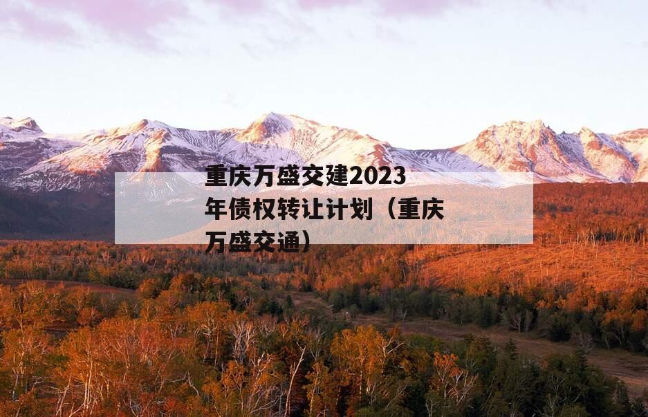 重庆万盛交建2023年债权转让计划（重庆万盛交通）